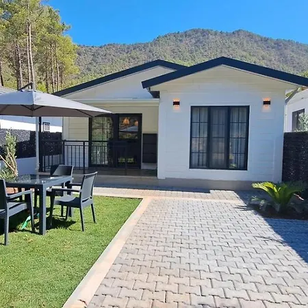 Villaant Villa *